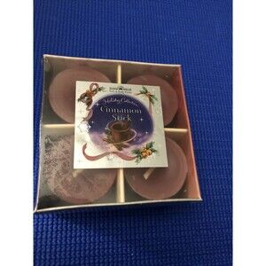 Vintage Bath & Body Works Chubbies Tealight Candles Cinnamon Retired Scent